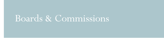 Practice Areas: Boards and Commissions